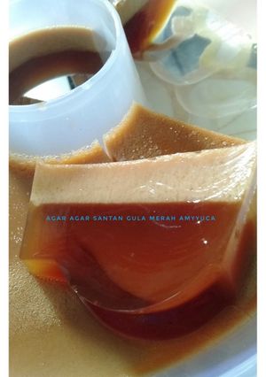 Foto resep Agar agar santan gula merah