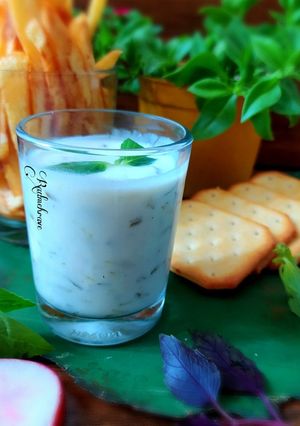 عکسی از دستور سس زاتزیکی(سس خیار شور و ماست)