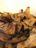 Cogumelos Pleurotus grelhados #cogumelos #pleurotus