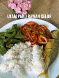Ulam Paku Rawan Celur