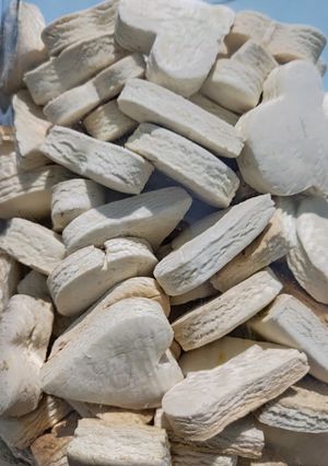 Foto resep Kue Bangkit Santan Kampung