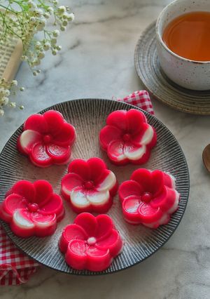 Foto resep 16 | Talam Merah Putih