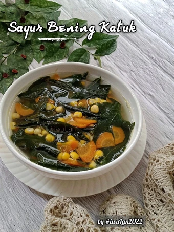 Cara Sederhana Menyiapkan Resep  Sayur Bening Katuk yang Lezat, Enak