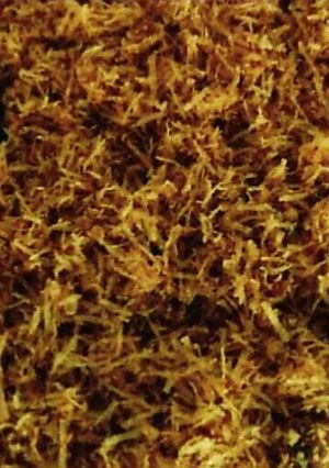 Foto resep Serundeng Manis
