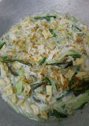Foto resep Sayur lodeh simpel