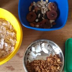 A picture of Oats free granola.