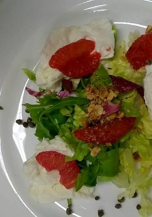 A picture of Mozzarella cheese salad with blood orange.