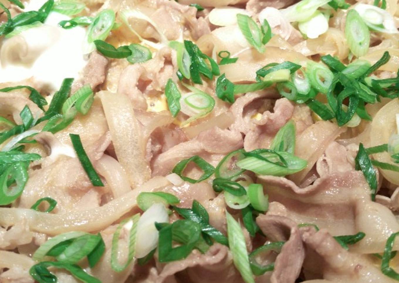 Gyudon Beef Bowl
