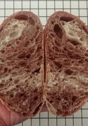 Foto resep Choco Swirl Sourdough Bread (Open Bake Method)