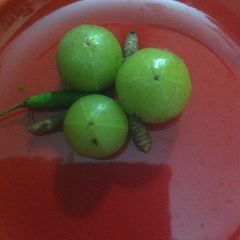 A picture of Nellikka chammandhi.