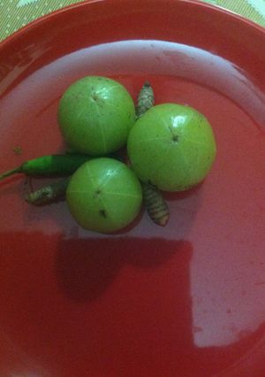 A picture of Nellikka chammandhi.