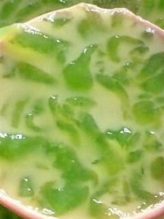 Foto resep Silky cendol praktis