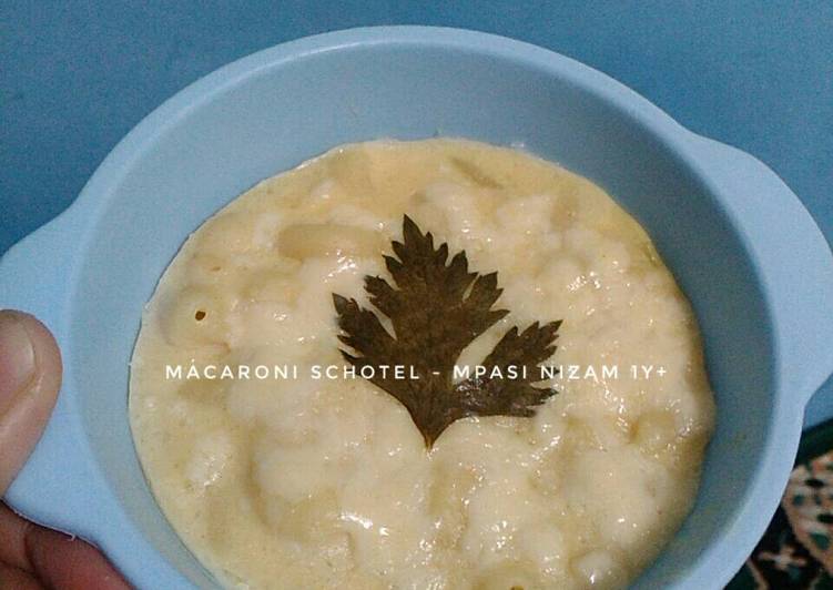 MPASI Schotel Macaroni Tuna Kukus 1y+