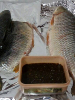 Una foto de Pescado al ajilimo