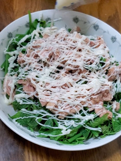 涼拌龍鬚菜 的食譜成品照片