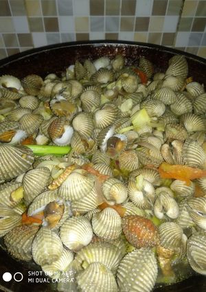 Foto resep Judulnya kerang