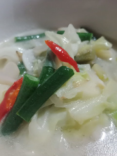 Foto resep Sayur lodeh bumbu iris