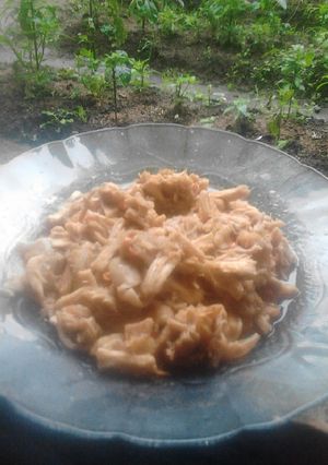 Foto resep Ayam Suwir Pelecingan