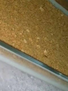 صورة لوصفة حلى تراب المملكه