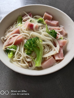 A picture of Noodle with Ham.
