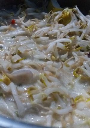 Foto resep Taoge santan campur tahu