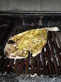 Corvina entera a la parrilla