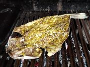 Una foto de corvina a la parrilla