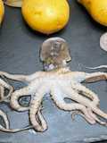 Mini Octopus Recipe