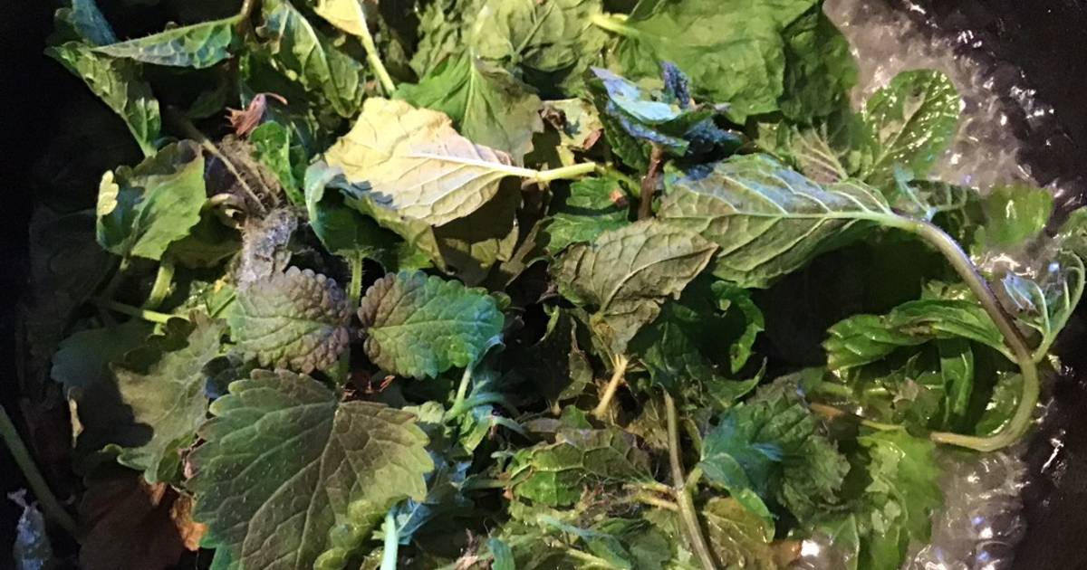 California Farm Mint Jelly Recipe by Hobby Horseman Cookpad