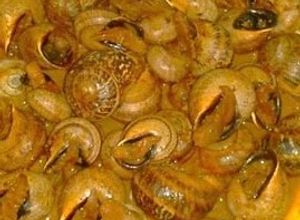 Foto principal de Caracoles en salsa de almendras