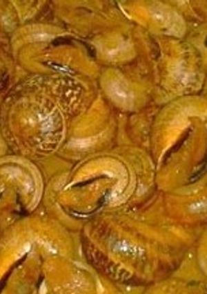 Foto principal de Caracoles en salsa de almendras