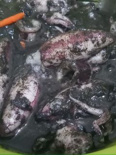 Foto resep Cumi tinta hitam