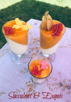 Une photo de Panna Cotta fruits exotiques