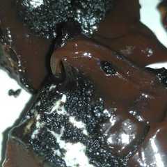A picture of Puding Oreo.