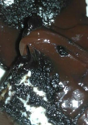 Foto resep Puding Oreo