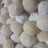 Putri Salju Keju Lumer / Cheesy snow ball (by.tintinrayner)