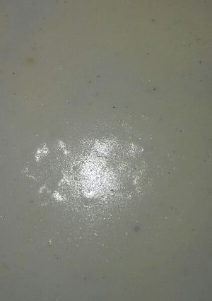 Una foto de Pastel de zapallo con acelga