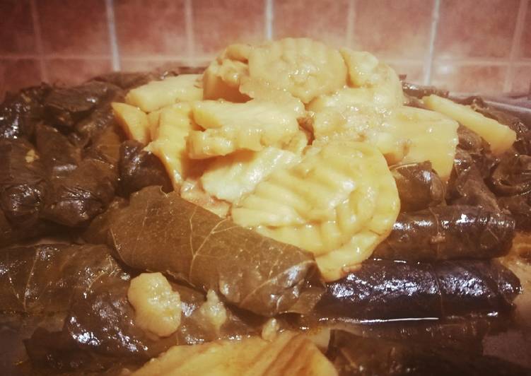 ورق عنب طري ولذيذ في قدر الضغط