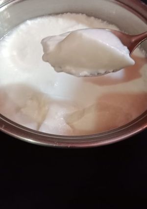 A picture of Yogurt.