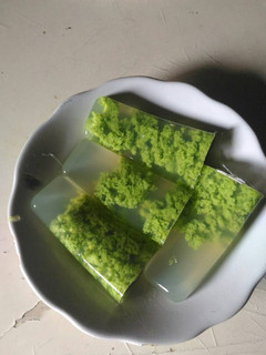 Foto resep Puding lumut