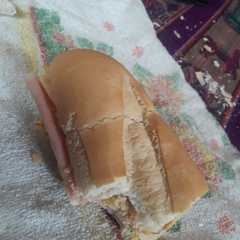 Una foto de Sándwich para el mate