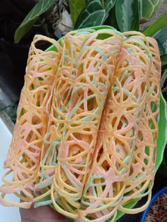 Foto resep Kue laba laba