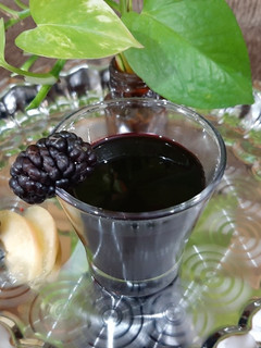 عکسی از دستور شهد شاه توت😋