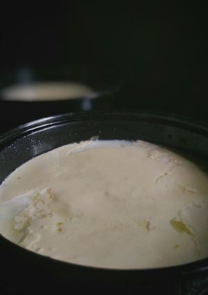ঘরে পাতা টক দই রেসিপির প্রধান ছবি