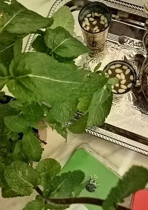 Une photo de Thé vert menthe fraiche pignon de pin