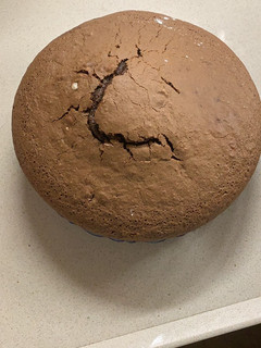 Una foto de Bizcocho de cacao casero con Mambo