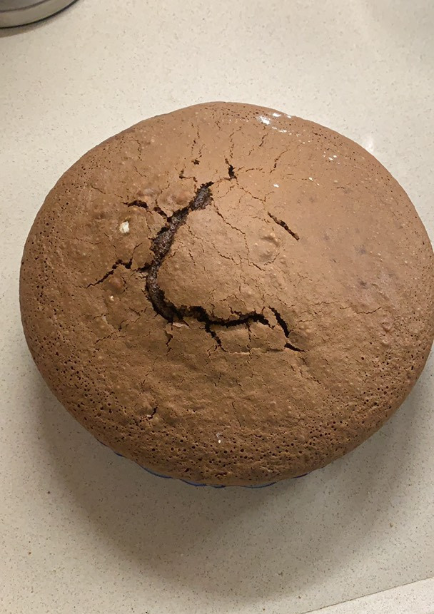 Una foto de Bizcocho de cacao casero con Mambo