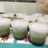 Jongkong Bangka
