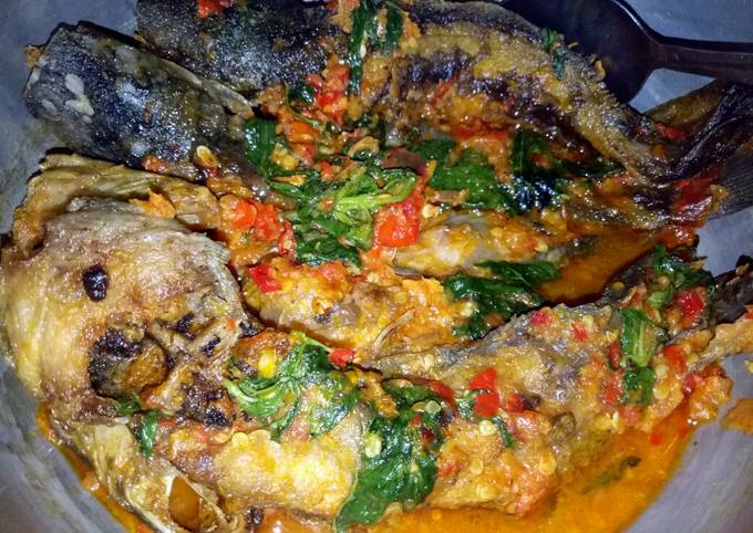 Cara Memasak Lele balado daun kemangii Enak Terbaru