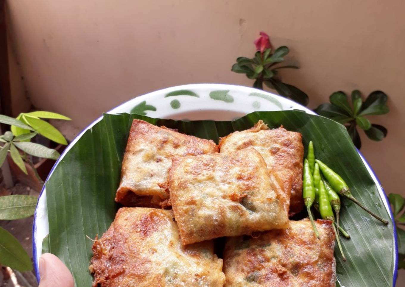 Martabak telur daging cincang